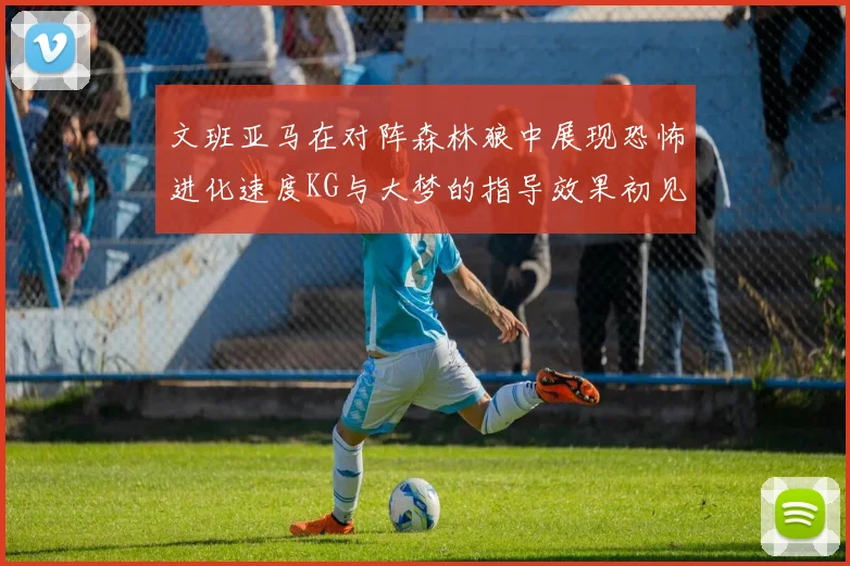 文班亚马在对阵森林狼中展现恐怖进化速度KG与大梦的指导效果初见成效