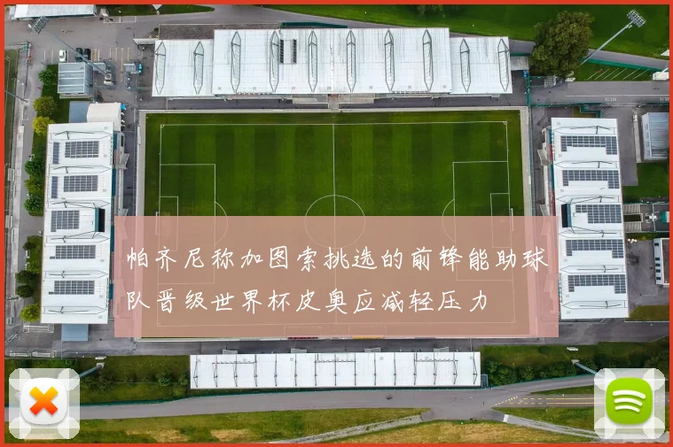 帕齐尼称加图索挑选的前锋能助球队晋级世界杯皮奥应减轻压力