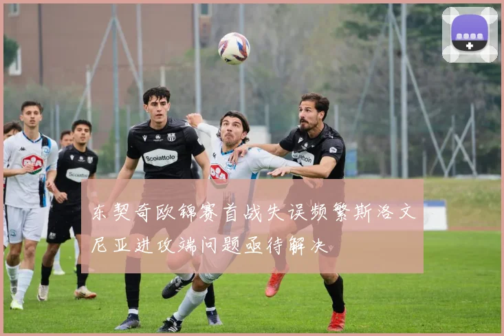 东契奇欧锦赛首战失误频繁斯洛文尼亚进攻端问题亟待解决